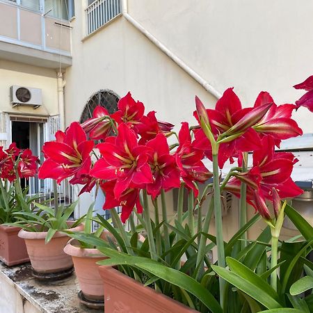 Il Giglio Rosso Apartment Napoli Exterior foto